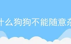 为什么狗狗不能随意杂交