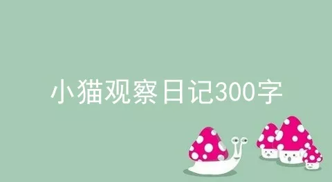 小猫观察日记300字