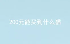 200元能买到什么猫