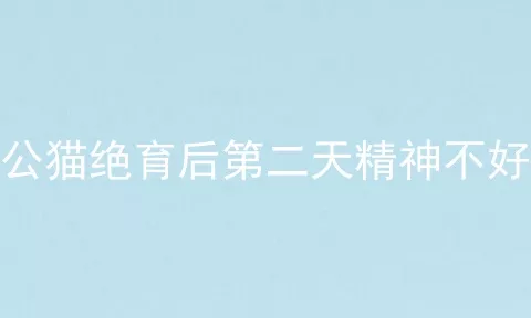 公猫绝育后第二天精神不好