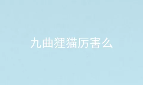 九曲狸猫厉害么