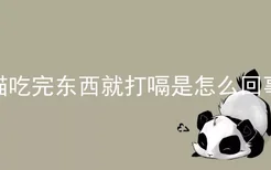 猫吃完东西就打嗝是怎么回事