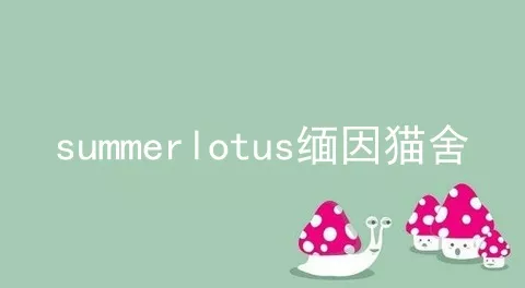 summerlotus缅因猫舍