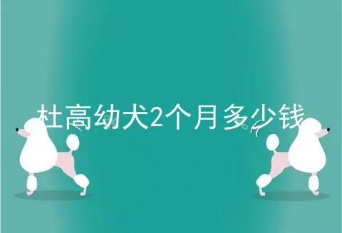 杜高幼犬2个月多少钱