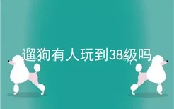 遛狗有人玩到38级吗