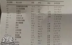 狗化验单怎么看 一文教你看所有化验单