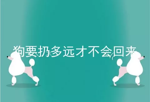 狗要扔多远才不会回来