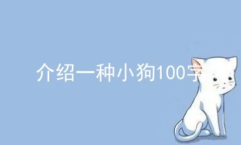 介绍一种小狗100字