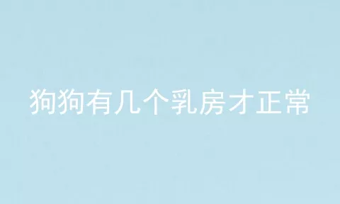 狗狗有几个乳房才正常