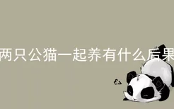 两只公猫一起养有什么后果