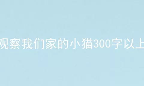 观察我们家的小猫300字以上