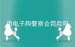 用电子狗警察会罚款吗