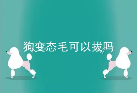 狗变态毛可以拔吗