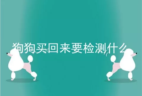 狗狗买回来要检测什么