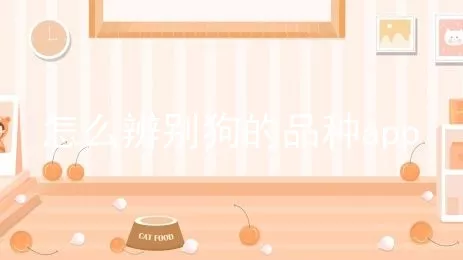 怎么辨别狗的品种app