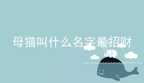 母猫叫什么名字最招财