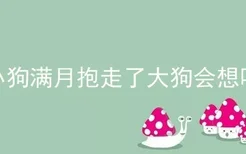 小狗满月抱走了大狗会想吗