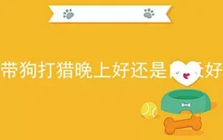 带狗打猎晚上好还是白天好