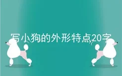 写小狗的外形特点20字