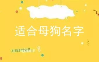 适合母狗名字