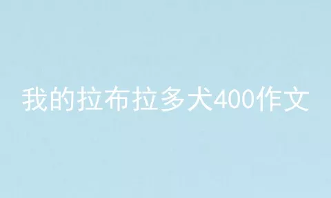 我的拉布拉多犬400作文