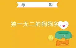 独一无二的狗狗名字