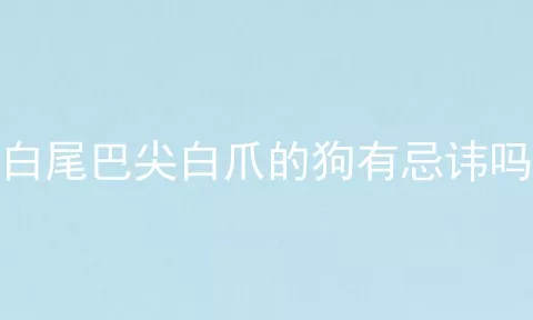 白尾巴尖白爪的狗有忌讳吗