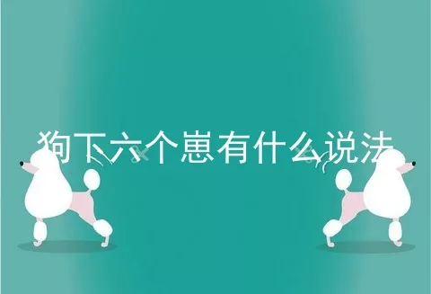 狗下六个崽有什么说法