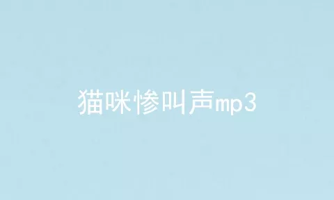 猫咪惨叫声mp3