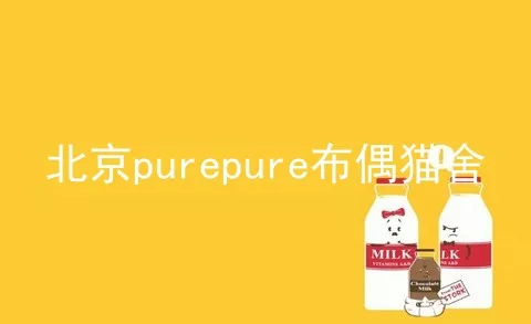 北京purepure布偶猫舍