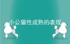 小公猫性成熟的表现