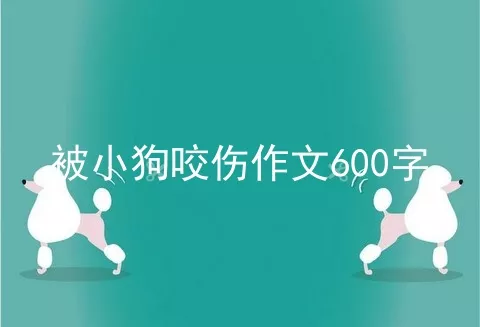 被小狗咬伤作文600字