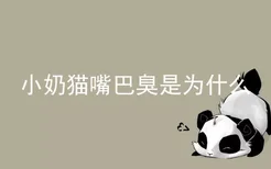 小奶猫嘴巴臭是为什么