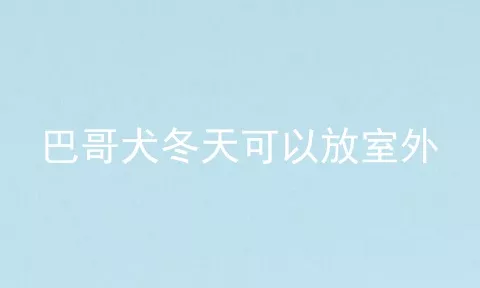 巴哥犬冬天可以放室外