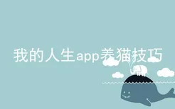 我的人生app养猫技巧