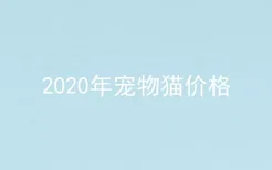 2020年宠物猫价格