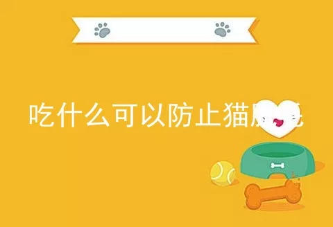 吃什么可以防止猫脱毛