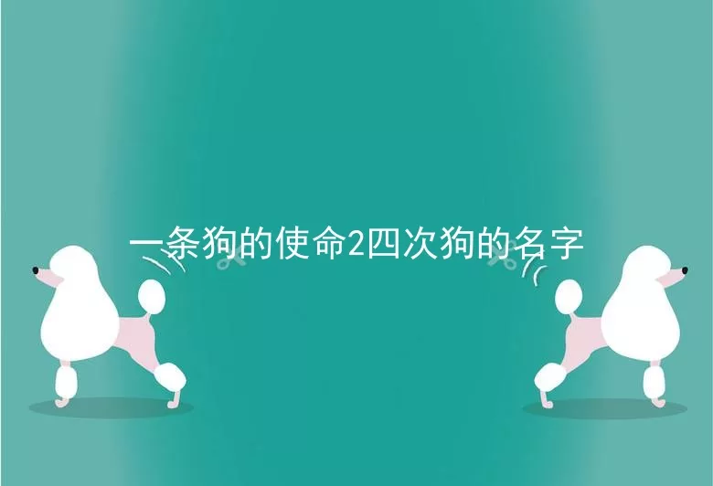 一条狗的使命2四次狗的名字