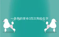 一条狗的使命2四次狗的名字