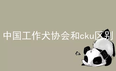 中国工作犬协会和cku区别