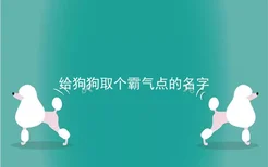 给狗狗取个霸气点的名字