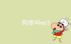 狗惨叫mp3