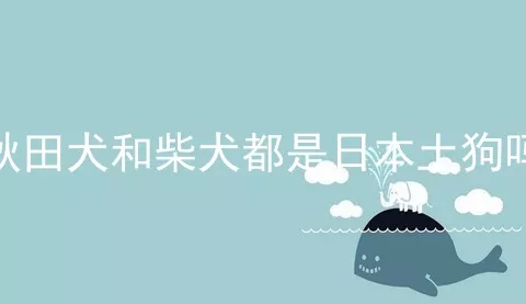 秋田犬和柴犬都是日本土狗吗