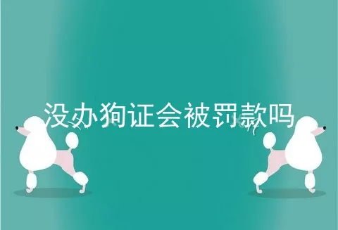 没办狗证会被罚款吗