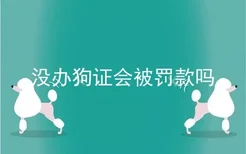 没办狗证会被罚款吗