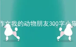 作文我的动物朋友300字小猫