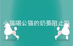 小猫喝公猫的奶要阻止吗