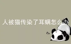 人被猫传染了耳螨怎么办