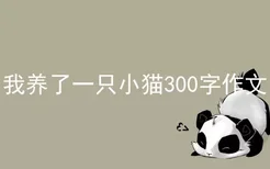 我养了一只小猫300字作文