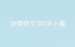 动物作文350字小猫